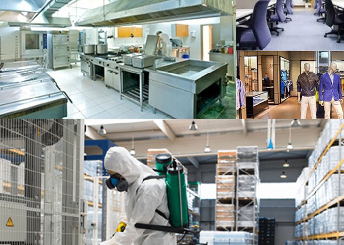 Commercial Pest Control Services