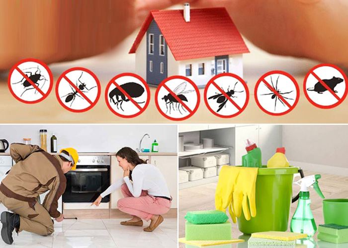 Residential Pest Control Services
